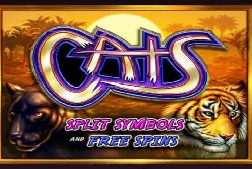 Cats Slot Machine